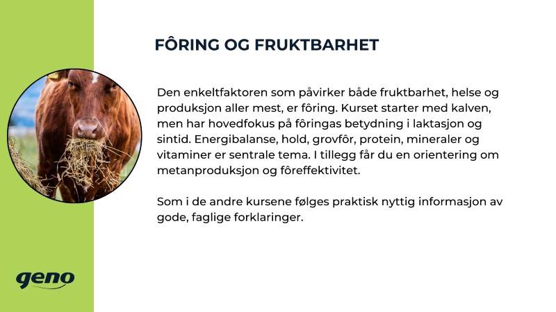 Storfeskolen (3).jpg