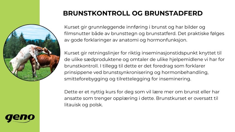 Storfeskolen.jpg