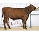 BRYNJAR 06773