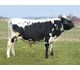6858 Rille SKB 96858 40024