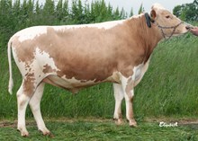 40059 Hussi F