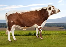 42028 Ruiruggen