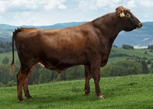 44035 Fabian