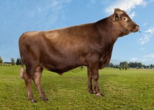 45039 Haugar