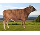 Balder 47033