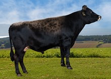 47036 Markseter