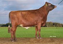 24086 VR Ulslev P