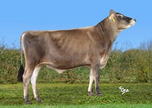 27000 VJ Ayuso P