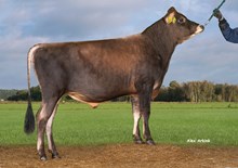 27207 VJ Dalin