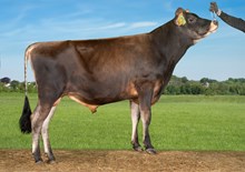 27219 VJ Carter