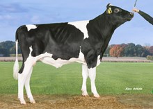 30226 VH Romello