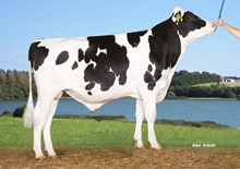 30352 VH SavorPP