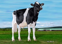 30413 Claynook Zeus