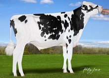 30415 Triton-PP