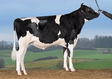 30495 VH SantoPP