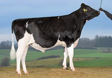 30503 VH Oliwer