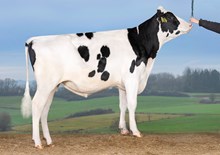30506 VH FlyerPP