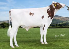 33820 3 Star OH Sharp Red
