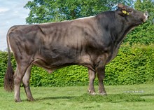 34518 Hidalgo
