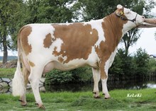 73525 Romario