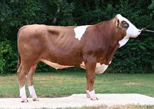 73624 Mehrwert PP