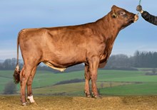 24094 VR Bengt