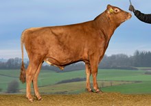24096 VR Elke