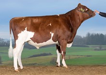 24102 VR Unico P