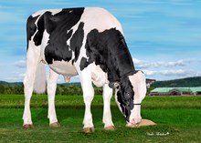 30403 Leothe Desire