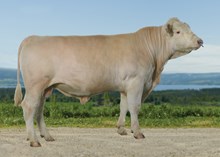 70122 Hudson ET  av Høyfjell