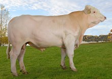 70147 Jonar av Bakke
