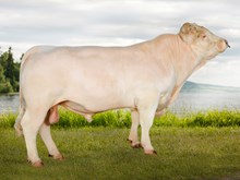 70186 Morten av Kindseth