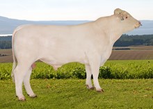 70216 Pontius P av Degerdal