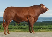 72131 Hilberg P ET av Hvam