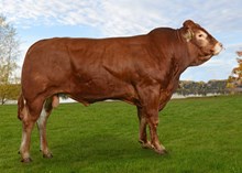72150 Intègre av Hvam