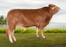 72236 Multrabo av Søstuen