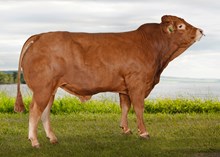 72255 Nathaniel av Utgårdstrøen
