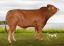 72255 Nathaniel av Utgårdstrøen