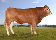 72273 Oligark PO av Helland