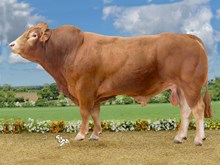 72320 POUMBA