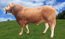 72341 Up North PO av Sletten