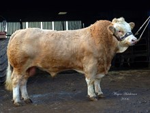 73067 KEELDRUM SCHUBERT
