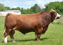 73114 PHS Bank Roll