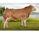 Lotto P av Kleivmoen 73119