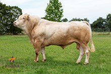 75049 NARKO