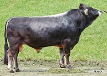 76053 Cawiko