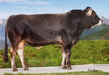 76091 Fergo