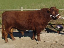 78009 Møllens Julius