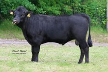 78036 Hessellunds Pontus PP