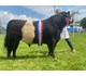 Monochrome Jack The Lad 79523